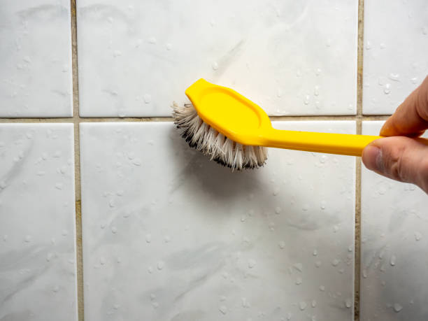 Best Mold Remediation  in St George, SC