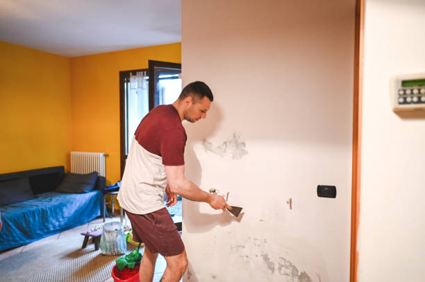Best Toxic Mold Removal  in St George, SC